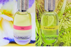 Paris: Workshop de criação de perfumes de 2 horas