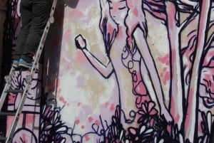 Parijs: 2 uur durende streetart tour