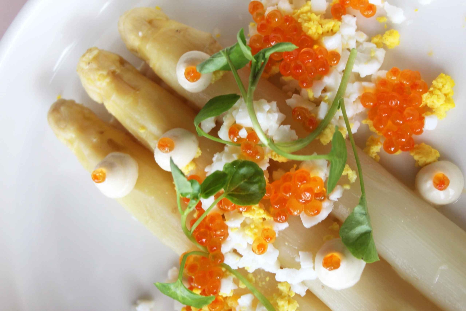 パリ：エッフェル塔のマダム・ブラッスリーでの3コースランチ