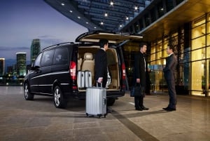 Paris: Charles-de-Gaulle Airport Private Roundtrip Transfer