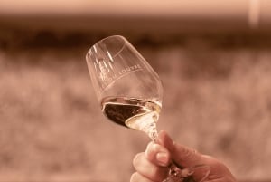 Paris: Apéro vin- og ostesmagning