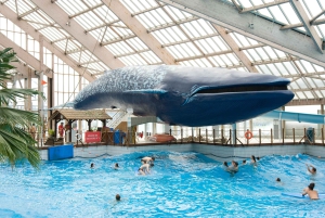 Paris: Eintrittskarte für den Wasserpark Aquaboulevard