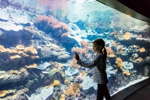Paryż: Bilet wstępu do Aquarium de Paris