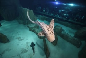 Paryż: Bilet wstępu do Aquarium de Paris