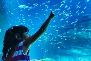 Paryż: Bilet wstępu do Aquarium de Paris