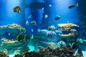 Paryż: Bilet wstępu do Aquarium de Paris