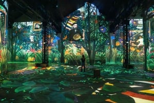 Paris : Atelier des Lumières admission ticket