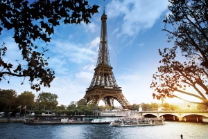 Paris: Bastille Day Celebration Cruise with Picnic