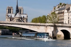 Paris: Big Bus Hop-on Hop-off Tour and Seine River Cruise