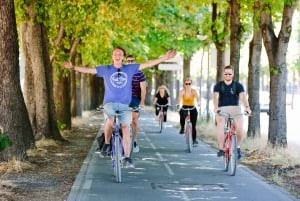 Cykeltur i Paris: Eiffeltårnet, Place de la Concorde og meget mere