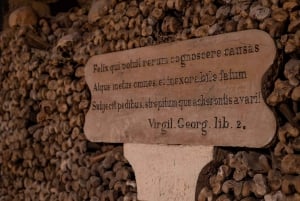 Biglietto d'ingresso diretto alle Catacombe di Parigi e guida