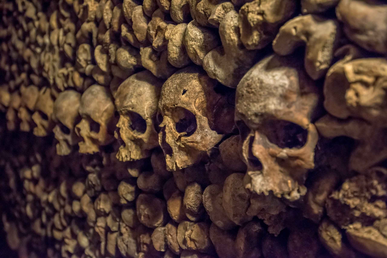 Explore-the-Catacombs