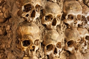 Paris: Catacombs Ticket and Seine River Cruise