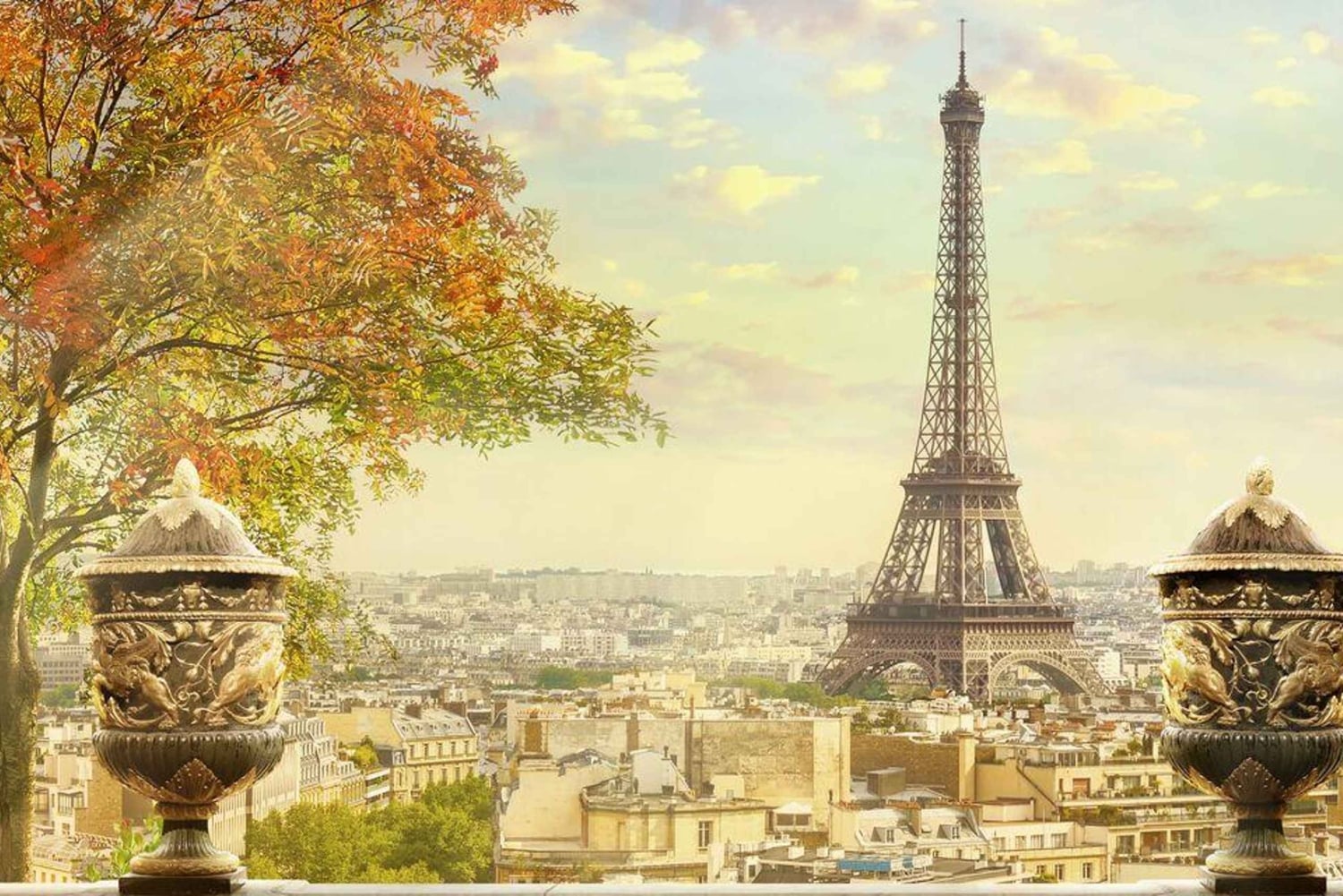 Париж: Частный трансфер из аэропорта CDG в город Париж