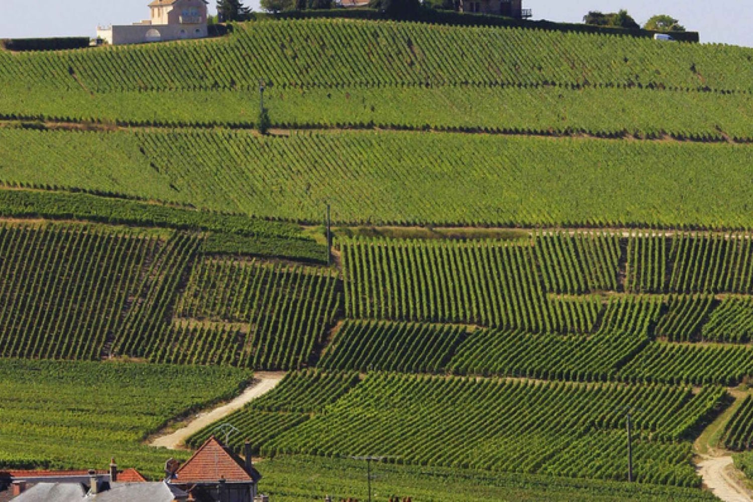 Paris: Viagem de 1 dia privada à região de Champagne e Reims