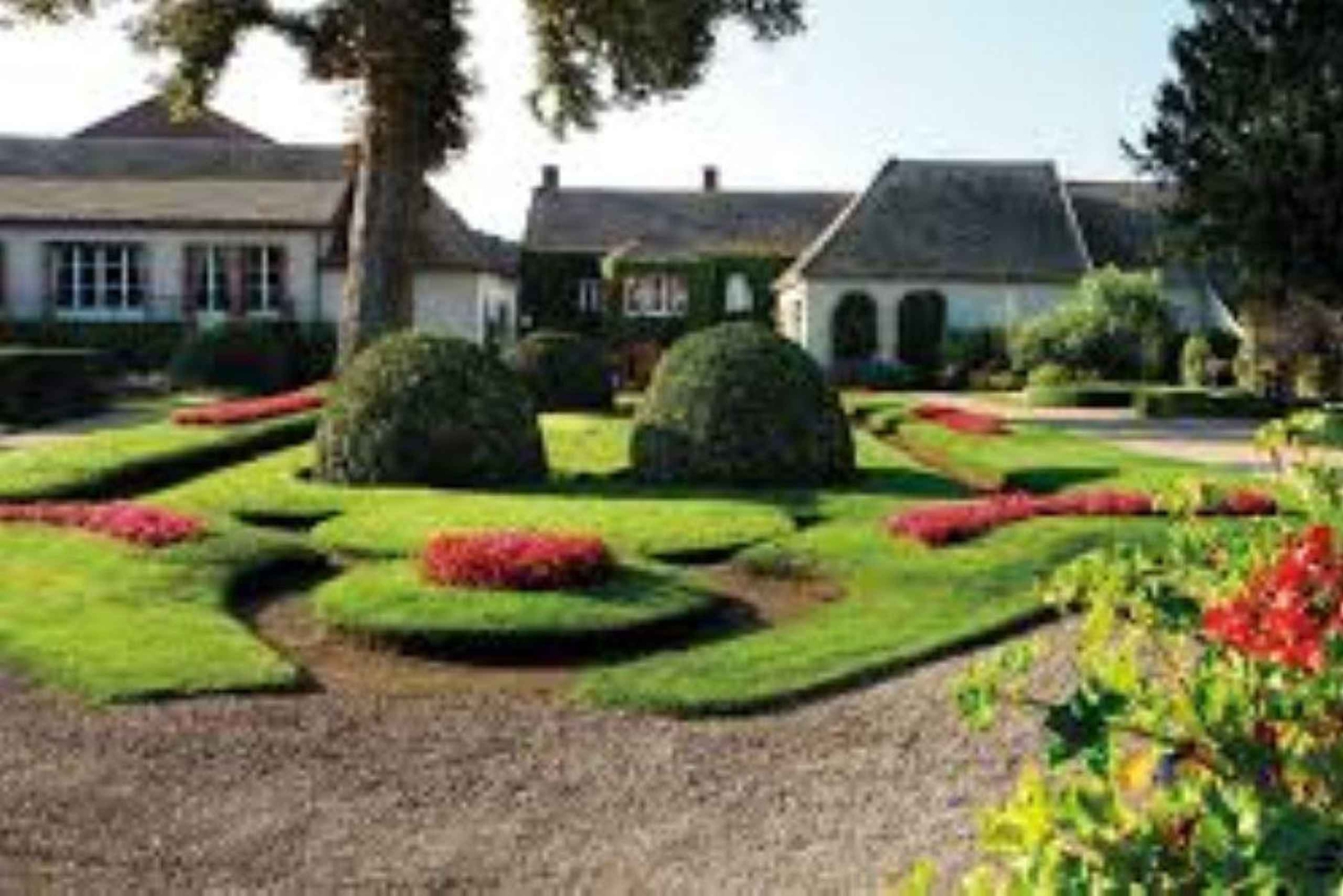 Paris: Viagem de 1 dia privada à região de Champagne e Reims