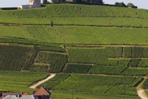 Paris: Viagem de 1 dia privada à região de Champagne e Reims