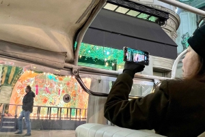 Paris: Christmas Lights Tuk Tuk Tour