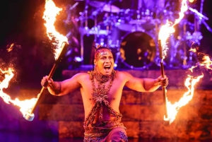 Paris: Biljett till Cirque du Soleil Alegría