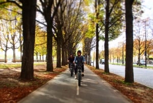 Paris: City Highlights Private Electric Bike Tour with video