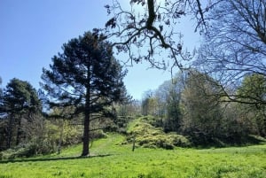Paris: Corniche des Forts Meditation and Mindfulness Walk