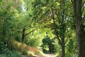 Paris: Corniche des Forts Meditation and Mindfulness Walk