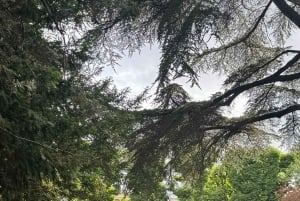 Parigi: tour a piedi personalizzato del cimitero di Père Lachaise