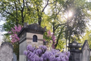 Paris: Skreddersydd vandringstur på Père Lachaise-kirkegården