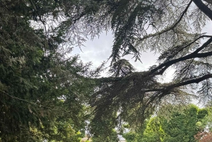 Paris: Skreddersydd vandringstur på Père Lachaise-kirkegården