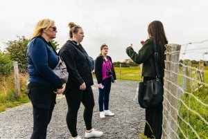 Paris: Guidet tur til D-dagen og Mont Saint-Michel