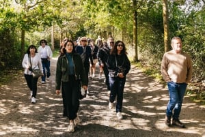 Paris: Guidet tur til D-dagen og Mont Saint-Michel