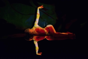 Paris: Middag på Ginger Restaurant & Show på Crazy Horse