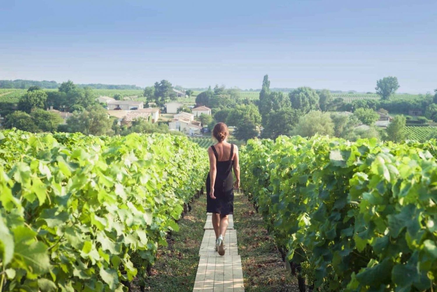 Paris: Discover the cellars in the countryside in Champagne