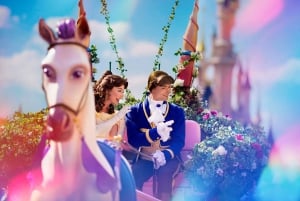 Paris: Disneyland® Multi-Day Entry Ticket