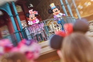 Disneyland® Multi-Day Entry Ticket
