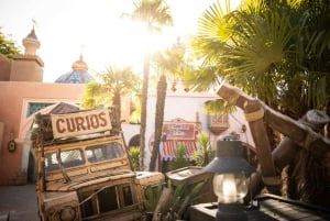 Paris : Billet pour Disneyland Paris avec transfert