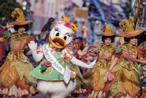 Paris: Ingresso para a Disneyland Paris com transfer