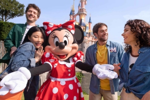 Paris: Ingresso para a Disneyland Paris com transfer