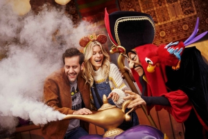 Paris: Ingresso para a Disneyland Paris com transfer