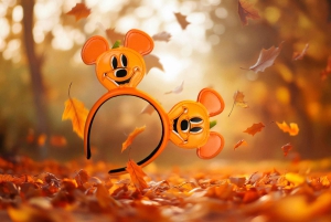 Paris: Ingresso para a Disneyland Paris com transfer