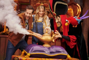 Paris: Ingresso para a Disneyland Paris com transfer