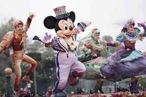 Paris: Ingresso para a Disneyland Paris com transfer