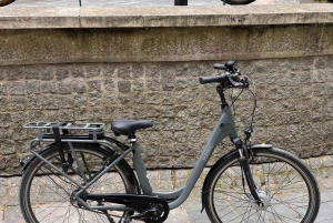 Paris : E-bike rental in Le Marais (City Center)