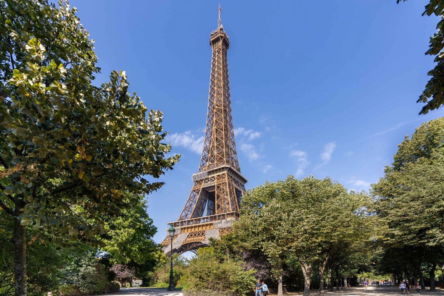 Paris: Eiffel Tower 2nd Floor or Summit Guided Tour