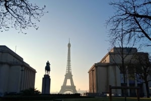 Paris : visite en vélo électrique de la Tour Eiffel et de la Seine, 3 heures