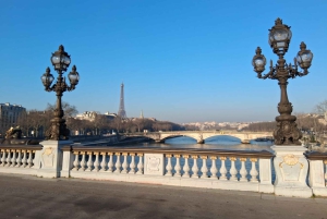 Paris : visite en vélo électrique de la Tour Eiffel et de la Seine, 3 heures
