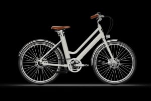 Paris : visite en vélo électrique de la Tour Eiffel et de la Seine, 3 heures