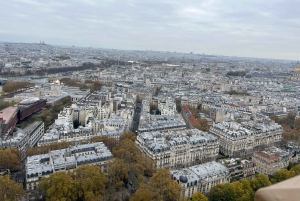 Eiffel Tower Entry: Summit or 2nd Floor with Audioguide