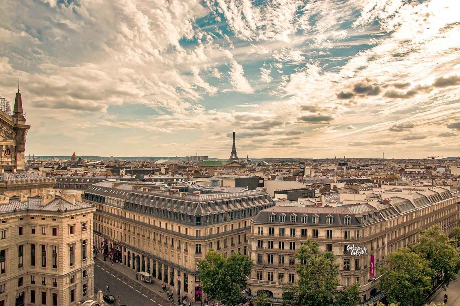 Paris Essentials : 4h Private Tour with a Local Guide !