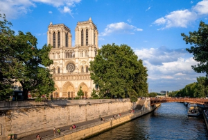 Paris: Eternal Notre-Dame VR Experience Ticket